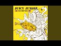 Juicy Jungle (DK2T Mix)