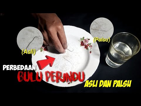 Video: Cara Membedakan Bulu Asli