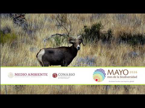 Mayo, mes de la Biodiversidad 2026