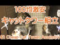 手作りキャットタワー組み立て100均DIY＋自作猫/子猫/小型犬用ケージ Handmade cat tower assembly $1 DIY+cat/small dog cage