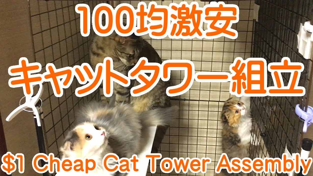 手作りキャットタワー組み立て 自作猫 子猫 犬用ケージ作り方 セリア100均グッズ簡単diy Youtube