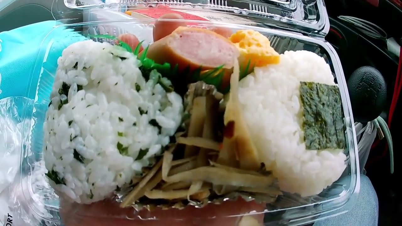 日本一周　釣りの旅　Day 111　　屋久島編