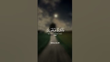 ﴿ولو يؤاخذ الله الناس...﴾ تلاوة عطرة للقارئ الشيخ ياسر الدوسري ✨