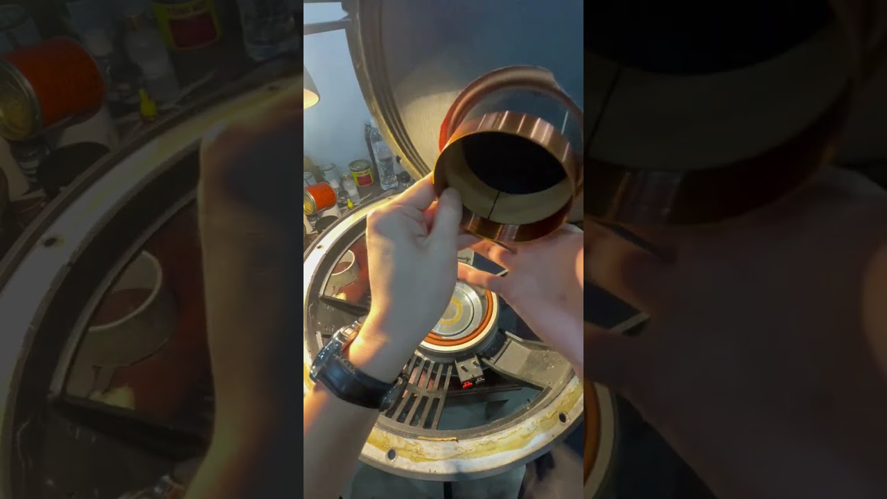 Thay nhện loa DAS 18 LXN như zin và so sánh chất âm với loa zin xem đc hay mất