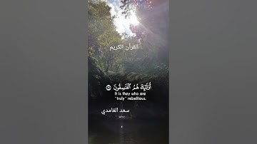 #المصحف #القرآن_الكريم القارئ سعد الغامدي