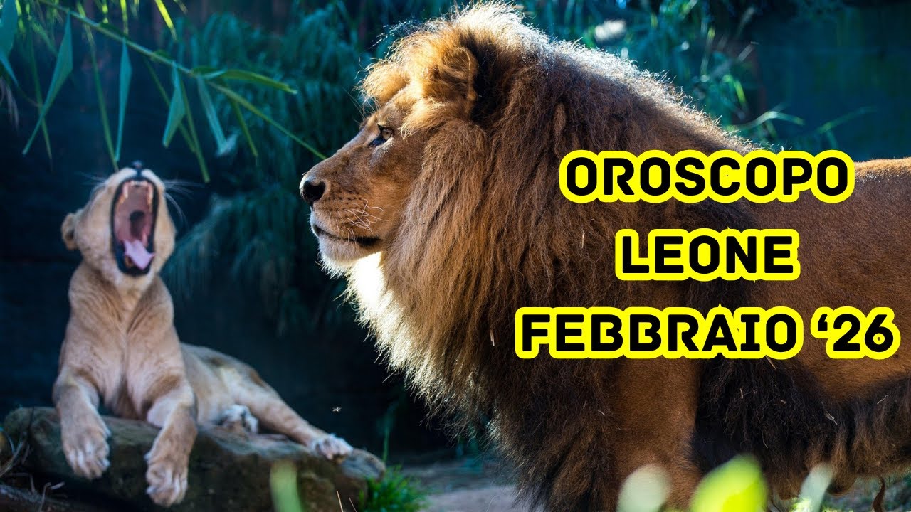 Oroscopo di febbraio 2026 per il segno zodiacale del Leone: faticare sì ma con criterio