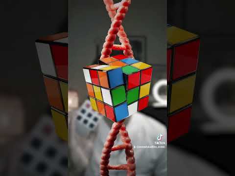 كيف يتكون مرض السرطان في جسم الإنسان السرطان طب عربي السويد