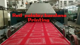 Red paisley bandana printing
