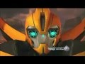 What Bumblebee Is Really Saying 2