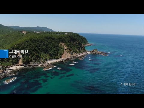 KBS1 ID 강원도 강릉시 부채바위길 21 08 16 녹화 새로운 로고송