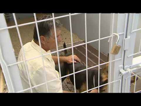 Βίντεο: Πρέπει να φυλάσσονται τα ζώα σε κλουβιά;