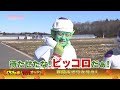まろに☆え～るTV～とちぎの旅！ワクワクすっぞ！～ ＃３　スーパーいちご登場！？