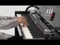 Цифровое пианино ROLAND DP90ECB