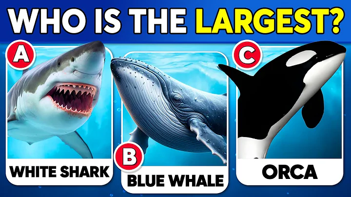 How Good Is Your Knowledge of SEA ANIMALS? 🐳🐬🐠✅ General Knowledge Trivia Quiz