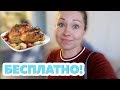 БЕСПЛАТНАЯ ЕДА! АМЕРИКАНСКИЙ СУПЕРМАРКЕТ Albertsons