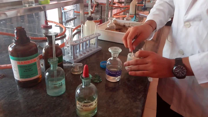 Test for Chloride ion in Lab by Seema Makhijani