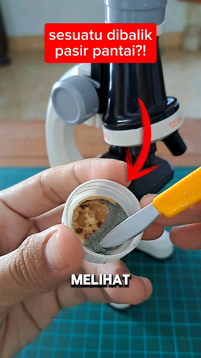 Inilah yang terjadi jika kalian melihat pasir pantai dengan mikroskop😱 #fakta #faktaunik