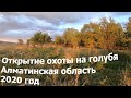 Открытие охоты на голубя. Алматинская область охот.угодья КООР "ТАБИГАТ"