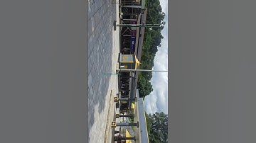 Swamiye Saranam Ayyappa #ayyappan #sabarimala #pamba #swami #tatwamasi#shorts #shortsfeed