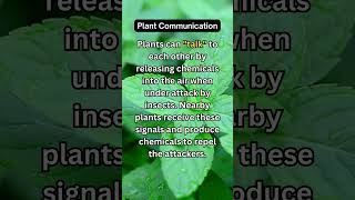 Plant Fact plant quickfacts shorts