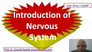5V  Introduction to Nervous System