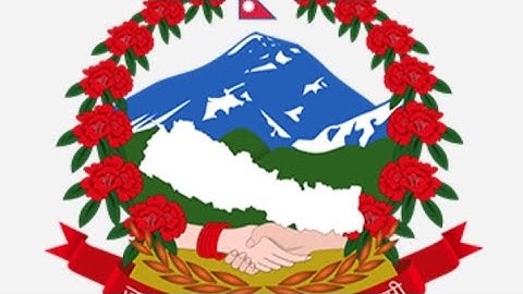 How to fill Common Medical Exam form 2025 , 2026 ? CEE को फर्म कसरी भर्ने? #cee #ceeaspirant 