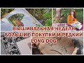 ВЫШИВАЛЬНАЯ НЕДЕЛЯ 7 - 13 ИЮНЯ | БОЛЬШИЕ ПОКУПКИ И РЕДКИЙ LONG DOG