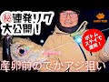 【まとめ動画】乗っ込みでかアジ攻略/ボトムステイで尺アジ探し【愛媛県宇和海】 #家邊克己 #サーティフォー