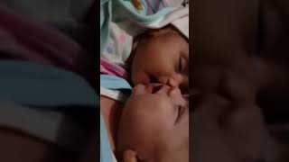 Twin baby kissing each other