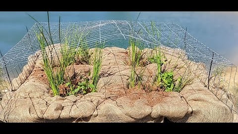 DIY Floating Islands