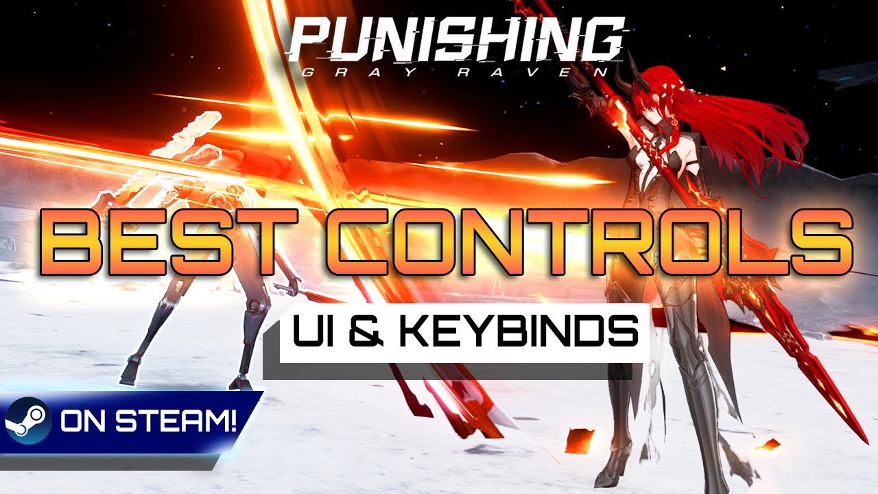 Punishing Gray Raven Steam & PC | Optimize Every Control Setting