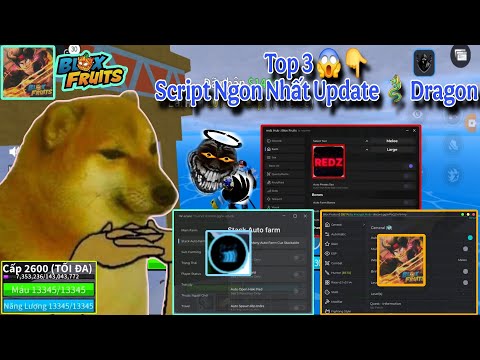 Hướng dẫn hack Blox Fruits Dragon 22 trên điện thoại – Top 3 script farm cực ngon cho phiên bản mới nhất Blox Fruits Dragon Hướng dẫn hack Blox Fruits Dragon 22 trên điện thoại – Top 3 script farm cực ngon cho phiên bản mới nhất Blox Fruits Dragon