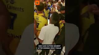 💛 Dhoni Cake Cutting Celebration After IPL winning 😍 #shorts