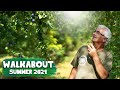 Summer Walkabout 2021