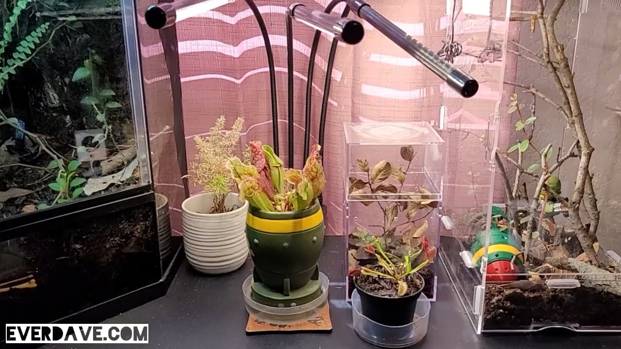 LED Full Spectrum 3500K Eisemgou 4 head Grow Light - 