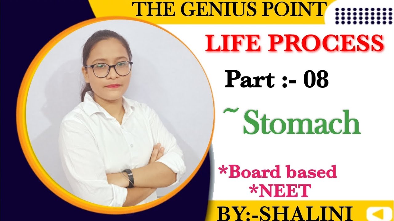 Stomach | Gastric Juice | Digestive system | life Process 