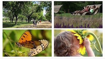 A different approach to sustainable housing | Craig Jarvis | TEDxChristchurch