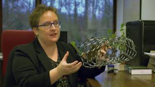 Professor Sofie Cambré - Carbon Nanotubes