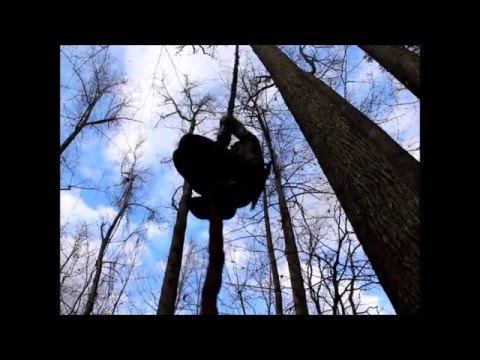 experience regina Adventuring in the Forest at Durham NC