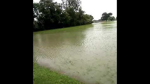 Video editorial song