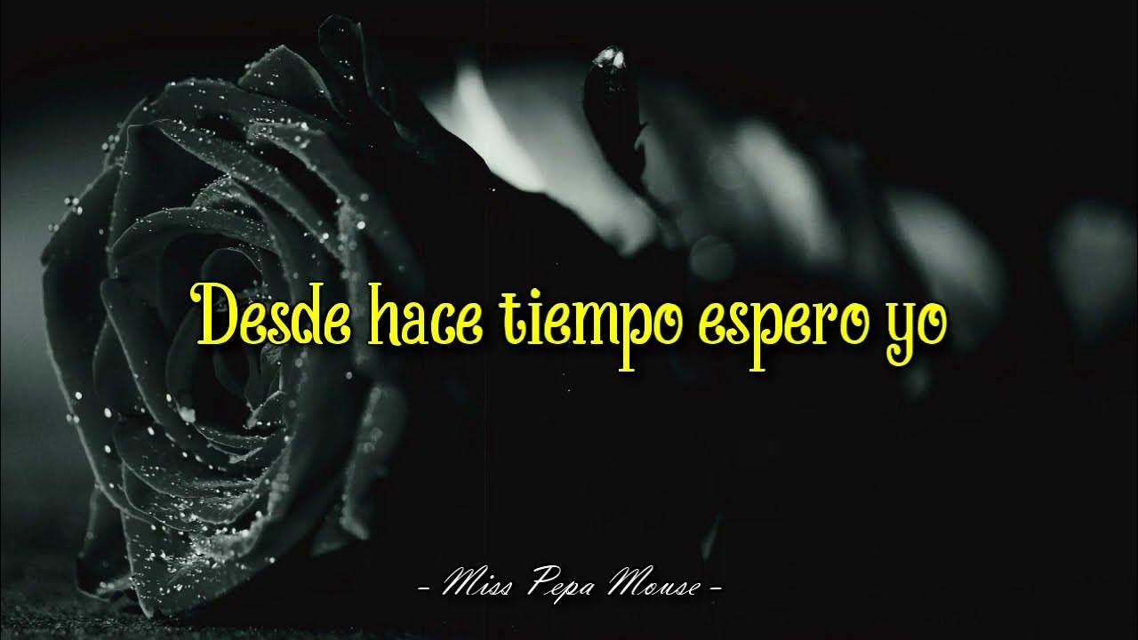 Los Angeles Negrosç Murio La Flor Letra Los Ángeles Negros - Murió La Flor (Letra) - YouTube