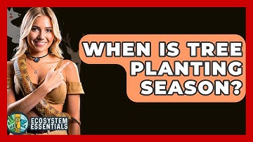 When Is Tree Planting Season? - Ecosystem Essentials
