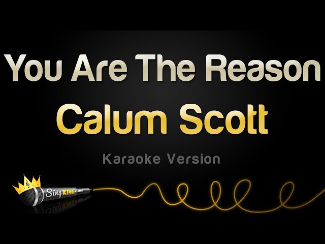 Calum Scott - You Are The Reason (Karaoke Version) class=