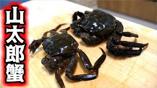 日本の上海蟹と言われる山太郎蟹で創作料理！