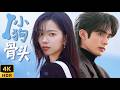 【宋威龙新剧】乖乖女成了校霸女友,學習戀愛兩不誤!#宋威龙#张婧仪 #愛情 #甜宠 #野狗骨头