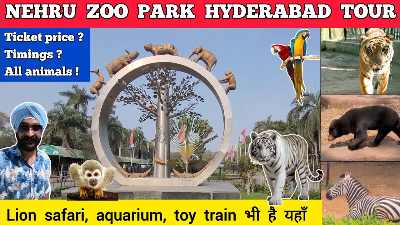Hyderabad zoo park nehru zoological park hyderabad zoo park all animals | Hyderabad zoo park safari