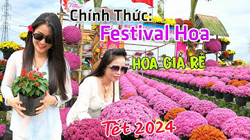 Chính thức: Làng Hoa Sa Đéc mùa LỄ HỘI FESTIVAL HOA KIỂNG 2024 - Hoa giá rẻ đón TẾT GIÁP THÌN