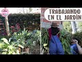 Trabajando en el jardín: Colgando helechos, limpiando y organizando el frente│Candy Bu