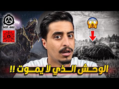 فيديو: هل يمكن لفر دي لانس أن يقتلك؟