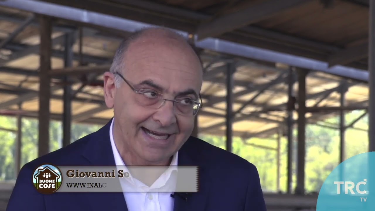 BCX P31 D INALCA CORTICELLA 1